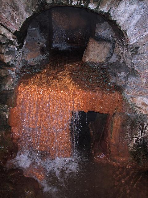 IMG 1662