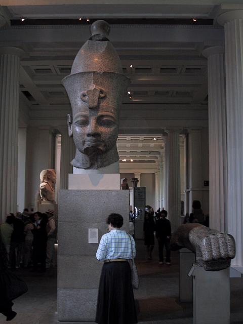 IMG 1557