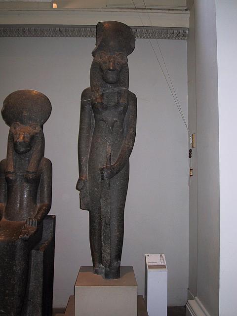 IMG 1560