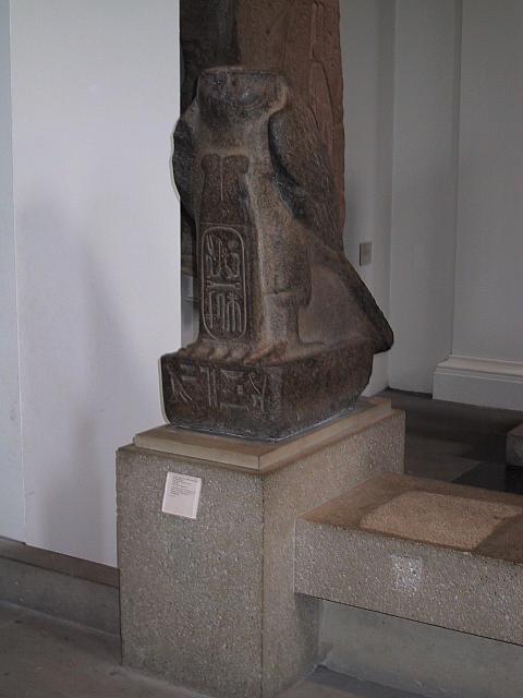 IMG 1563