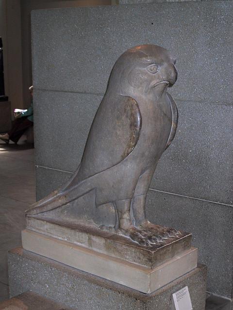 IMG 1564
