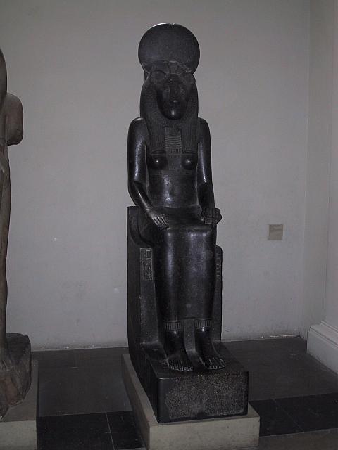 IMG 1565