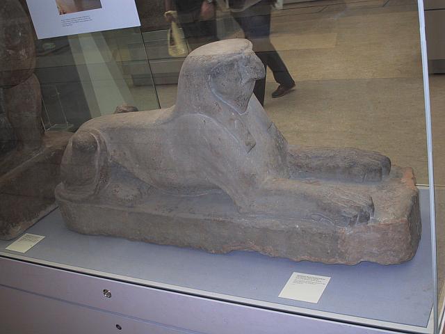 IMG 1569