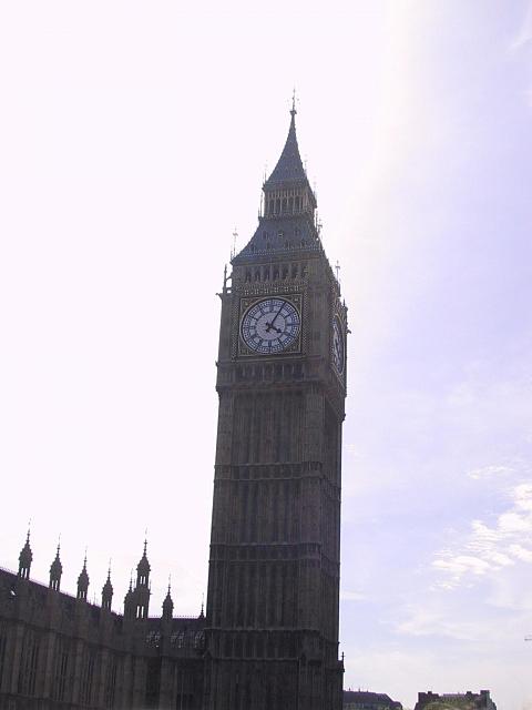 IMG 1513