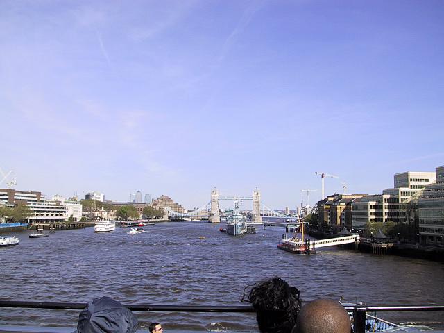 IMG 1517