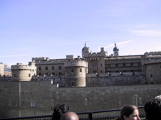 IMG 1518