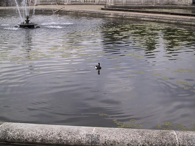 IMG 1467