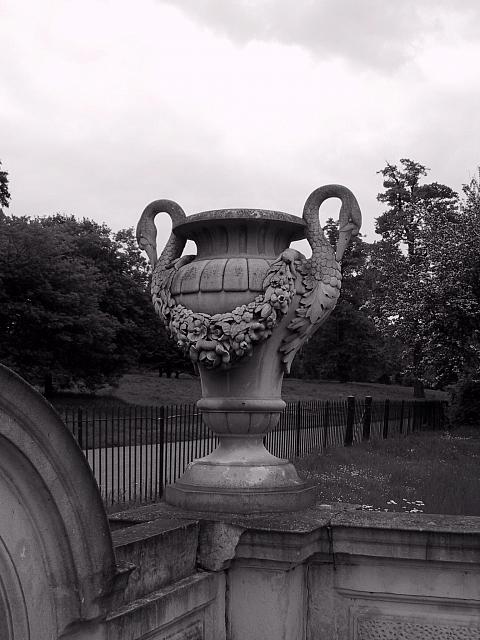IMG 1469