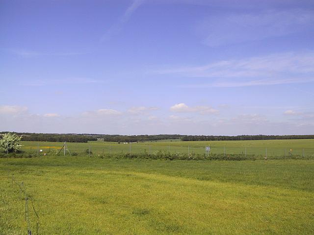 IMG 1691