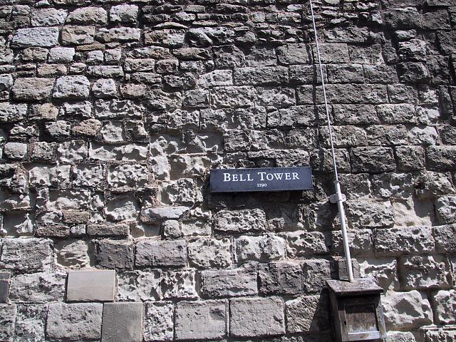 IMG 1589