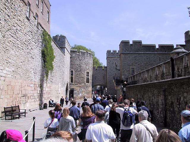 IMG 1591
