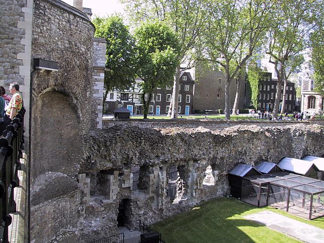 IMG 1608