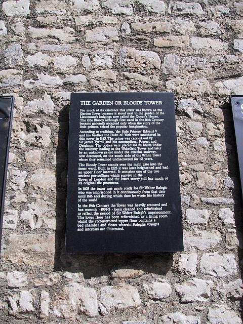 IMG 1612