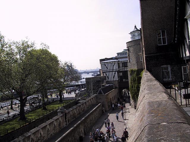 IMG 1617