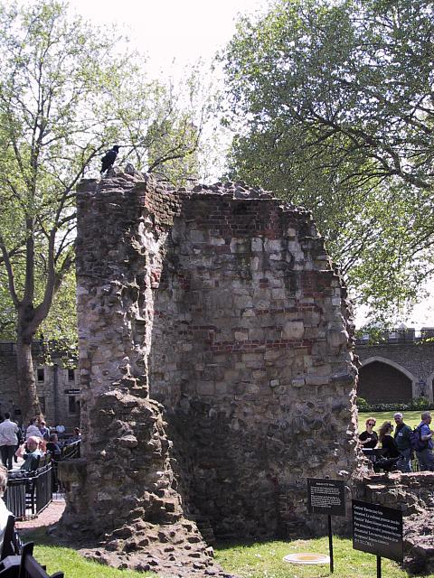IMG 1618