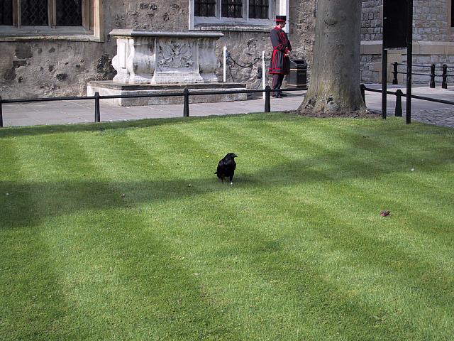 IMG 1627
