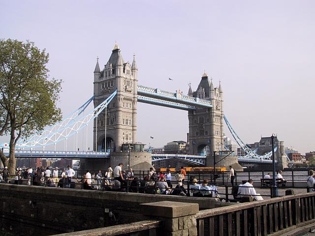 IMG 1631