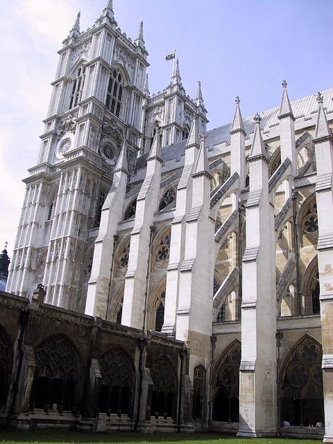 IMG 1535