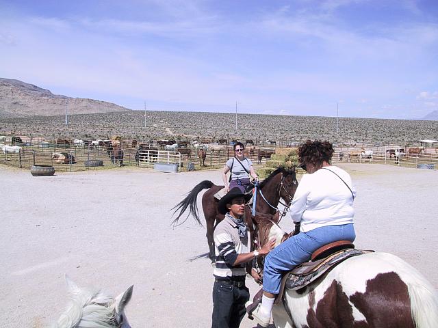 IMG 0002