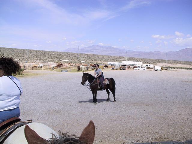 IMG 0003