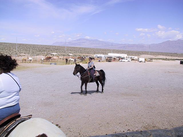 IMG 0004