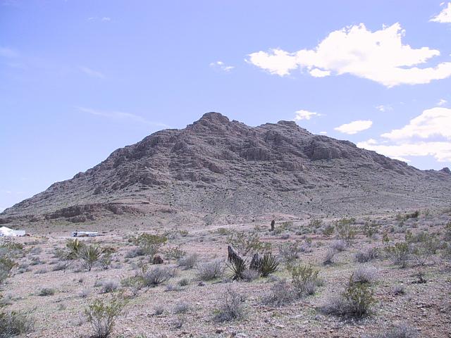 IMG 0008
