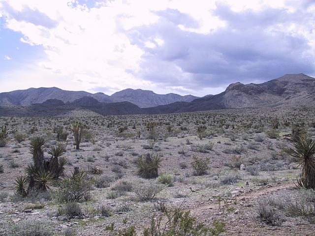 IMG 0010