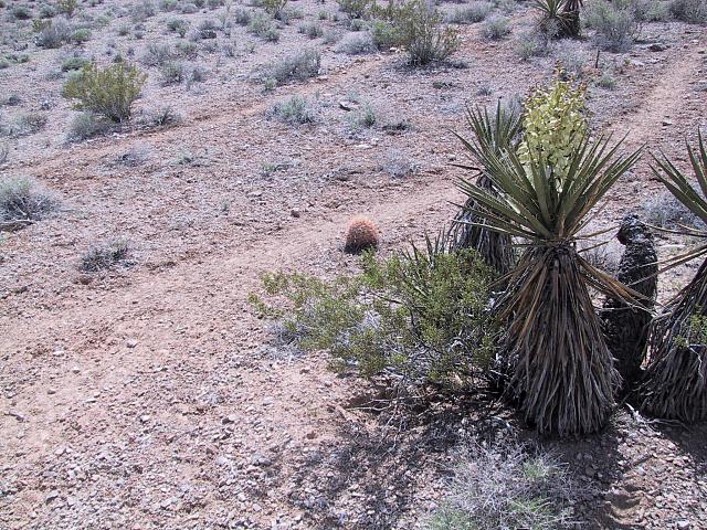 IMG 0012