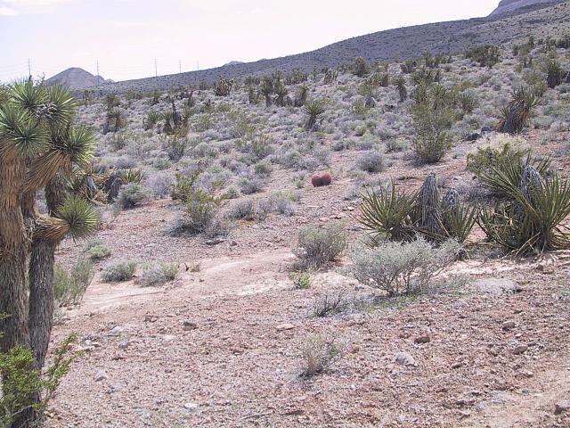 IMG 0013