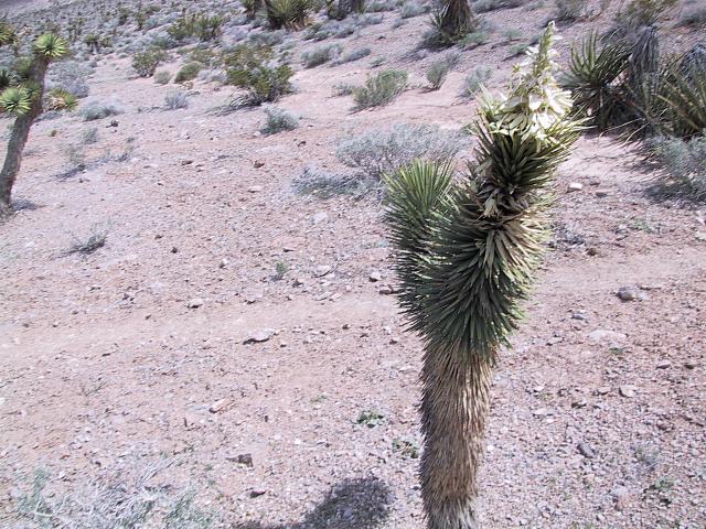 IMG 0014