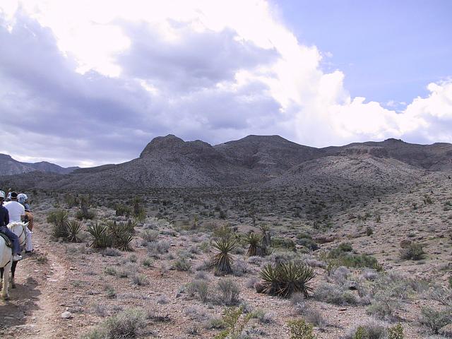IMG 0015