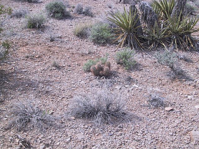 IMG 0016
