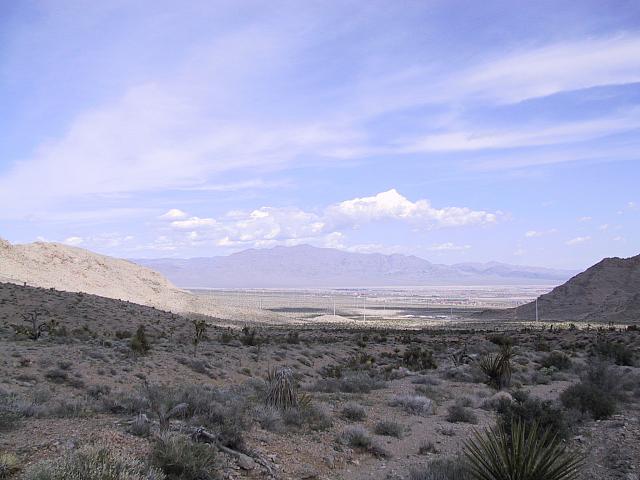 IMG 0017