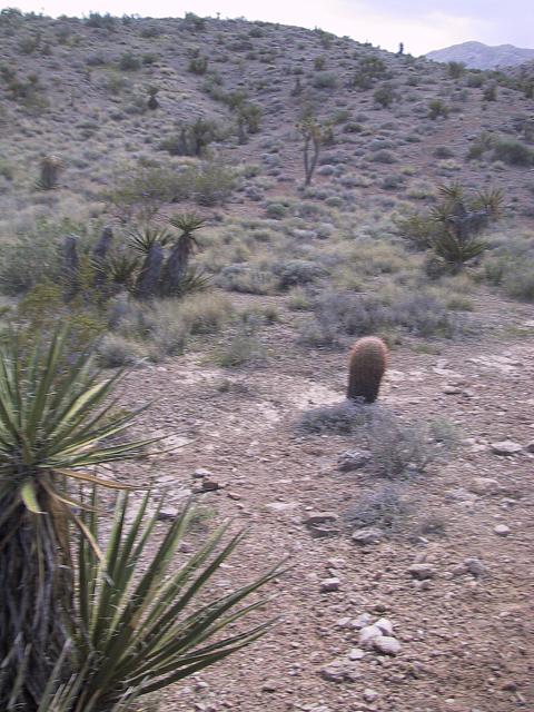 IMG 0020