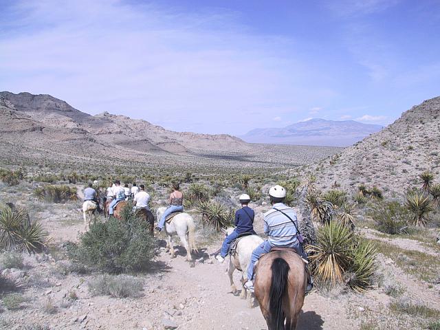 IMG 0021