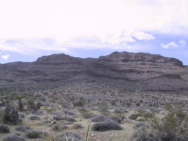 IMG 0022