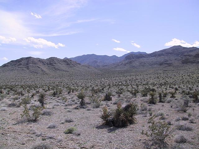 IMG 0023