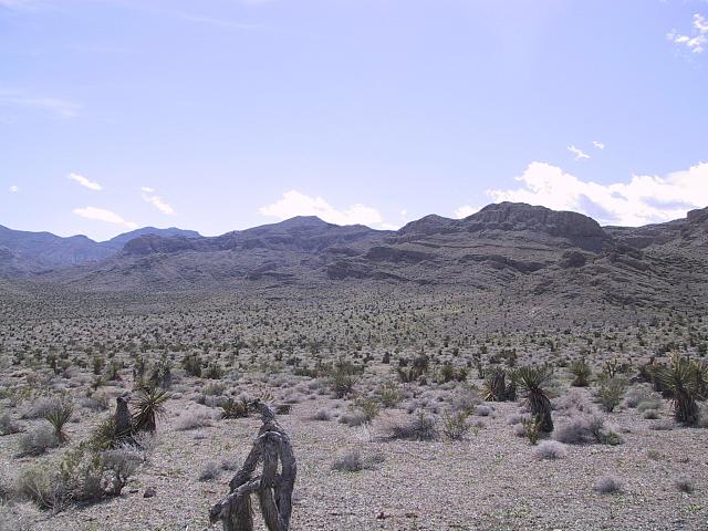 IMG 0025