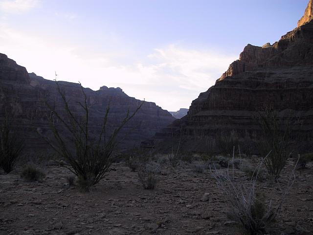 IMG 0063