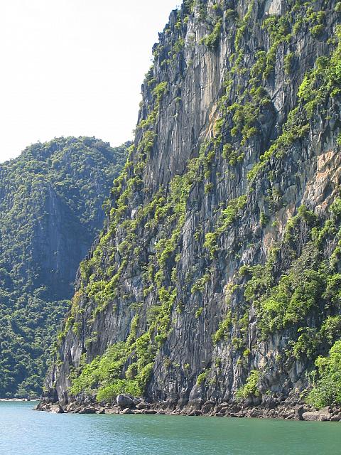 IMG 3677