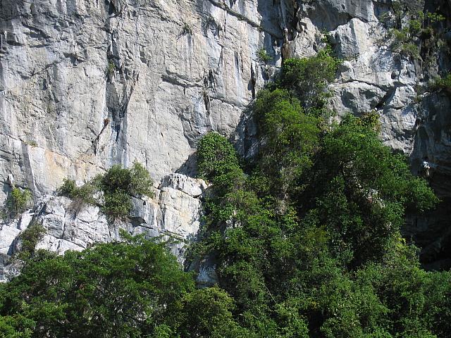 IMG 3687