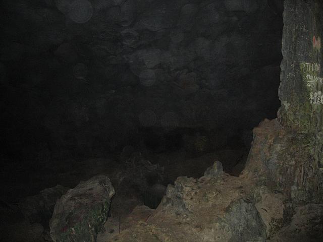 IMG 3694
