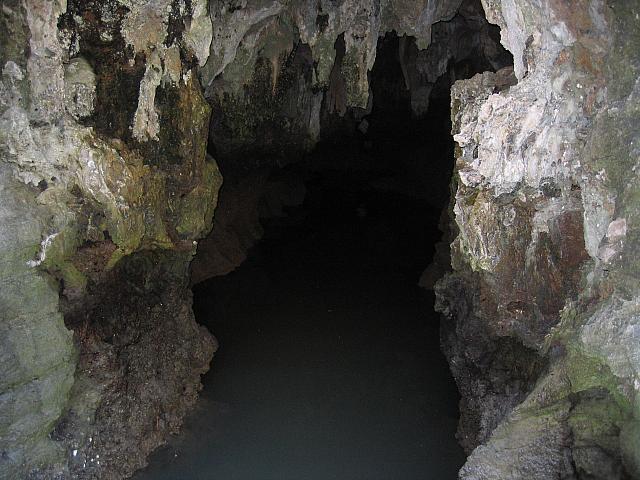 IMG 3697