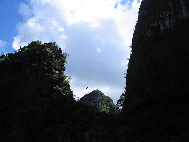 IMG 3723