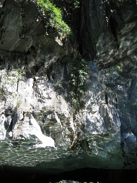 IMG 3726