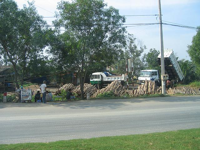 Vietnam 029