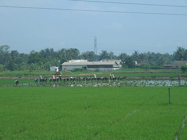 Vietnam 052