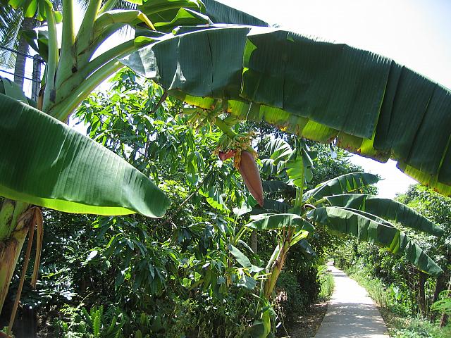 Vietnam 093