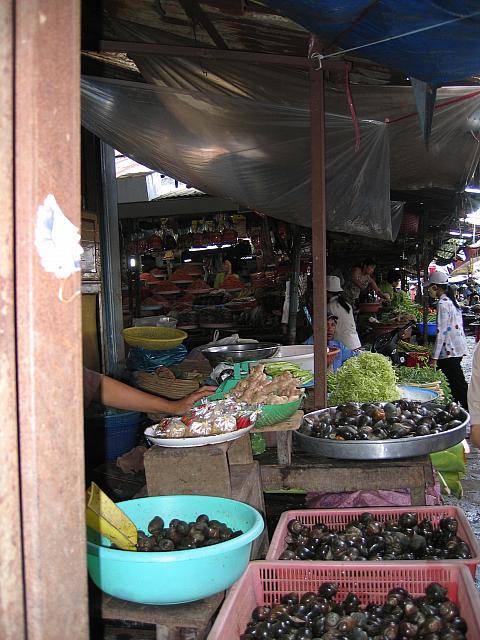 Vietnam 114