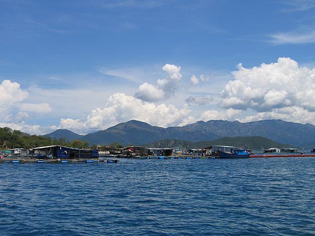 Vietnam 201